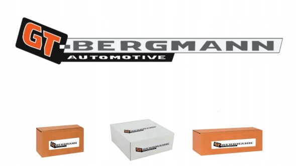 GT-Bergmann GT10-173 Mercedes vito охолоджувач води двигуна oe: 6385002200, 6385011601, 6385012701
