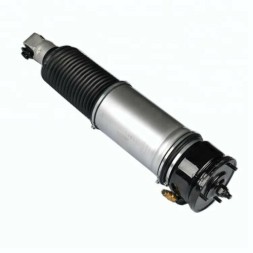 Proteile 37126785538 Airautopl BMW 7 E65 E66 АМОРТИЗАТОР ПРАВИЙ ЗАДНІЙ ПНЕВМАТИЧНИЙ NIVO КОМПЛЕКТНИЙ