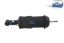 DT Spare Parts 1.25948 Амортизатор підвіски кабіни