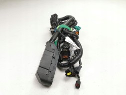 Ford OE Зв'язка проводів FORD Focus 04-08/Focus C-MAX 03-07 (CAP) OE 1466713