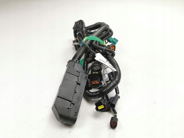 Ford OE Зв'язка проводів FORD Focus 04-08/Focus C-MAX 03-07 (CAP) OE 1466713