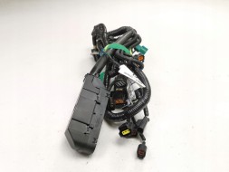 Ford OE Зв'язка проводів FORD Focus 04-08/Focus C-MAX 03-07 (CAP) OE 1466713