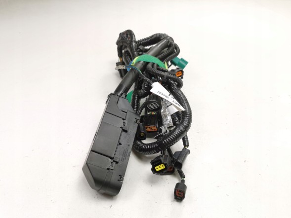 Ford OE Зв'язка проводів FORD Focus 04-08/Focus C-MAX 03-07 (CAP) OE 1466713