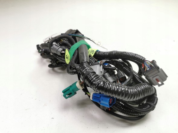 Ford OE Зв'язка проводів FORD Focus 04-08/Focus C-MAX 03-07 (CAP) OE 1466713