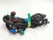 Ford OE Зв'язка проводів FORD Focus 04-08/Focus C-MAX 03-07 (CAP) OE 1466713