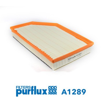 A1289 PURFLUX Фільтр забору повітря