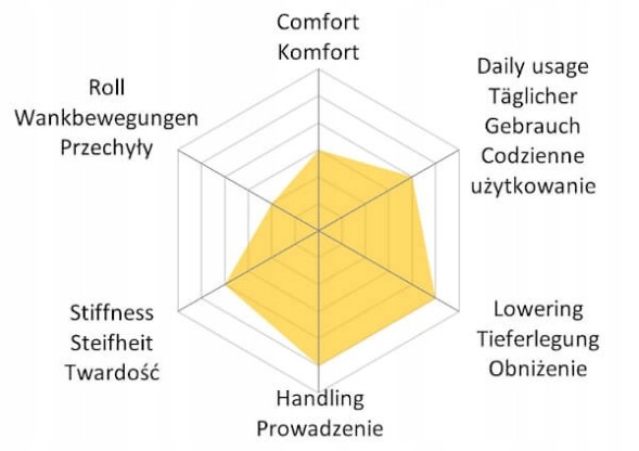 MTS-Technik CSM/MTSGWVW10/3 Різьбова підвіска МТС TECHNIK STREET MTSGWVW10 VW NEW BEETLE (9С1/1С1)