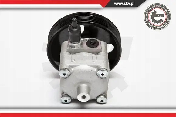 ESEN SKV 10SKV033 Насос гідропідсилювача 10скв033 esen skv volvo s80 xc90