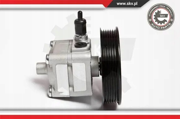 ESEN SKV 10SKV033 Насос гідропідсилювача 10скв033 esen skv volvo s80 xc90