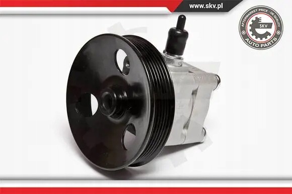 ESEN SKV 10SKV033 Насос гідропідсилювача 10скв033 esen skv volvo s80 xc90