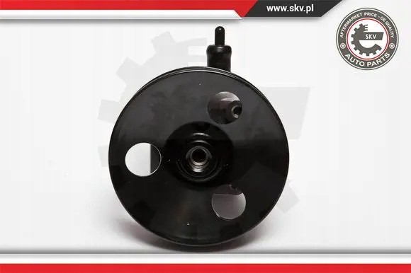 ESEN SKV 10SKV033 Насос гідропідсилювача 10скв033 esen skv volvo s80 xc90