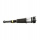 Arnott AS-285 32 2x повітряні амортизатори Arnott FRONT L+R для MERCEDES-BENZ S-CLASS