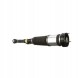 Arnott AS-285 32 2x повітряні амортизатори Arnott FRONT L+R для MERCEDES-BENZ S-CLASS