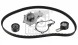 Febi bilstein 102203 Комплект грм + водяний насос 102203 febi bilstein