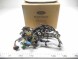 Ford OE Електромонтаж - кузов і задня FORD Focus 1998-2005 OE 1135006