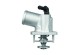 TI 54 92D MAHLE ORIGINAL Термостат