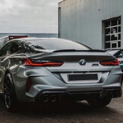 Китай T-300 Карбоновий Спойлер-Крило BMW G15 / F92 M-Performance Style (Dry-Carbon)