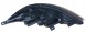 Abakus 223-1140R-LEMN2 Лампа фара права h7 / py21w led depo kia sportage iii 2010 - 2015