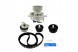SKFVKMC 05156-2/RS3 SKF КОМПЛЕКТ - КОМПЛЕКТ РЕМНЯ ГРМ 5636732 563656