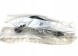 Citroen OE 0383 55 Глушник шуму турбокомпресор Citroen OE 038355