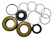 Китай LN9001KIT Ремкомплект рульової передачі LINCOLN Navigator II 03-06