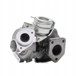 Ridex 2234C0195 Зарядний пристрій, поповнення
