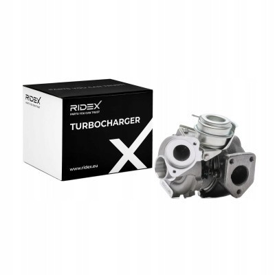 Ridex 2234C0195 Зарядний пристрій, поповнення