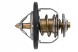 NTY ТЕРМОСТАТ NTY CTM-NS-003