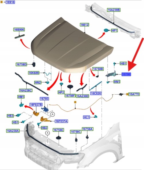 Ford OE JB3B-16800-AA JB3Z16796A ПРАВА ПІТЛЯ КАПОТА FORD RANGER MK5 2011-2015 - OEM 2239636 _ JB3B-16800-AA