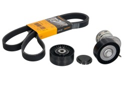 V-maxzone Part VIC-69065 Комплект поліклинового ременя 6 PK 1613 K1 для AUDI A4 B6, A4 B7; VW CRAFTER