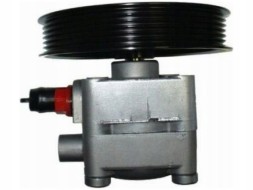 Spidan 54071 Насос гідропідсилювача spidan 54071