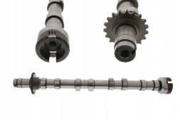 FAI AutoParts C421 Розподільний вал для випускних клапанів c421