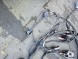 BMW OE INSTALACJA PODŁUZNICA LAMPY WIATRAK ZES NAPRAWCZY BMW E70 E71 LCI 8780113 QUAL030325 УСТАНОВКА ПІДЛУЖНИКА ЛАМПИ ВІТРЯК ZES РЕМОНТНИЙ BMW E70 E71 LCI 8780113