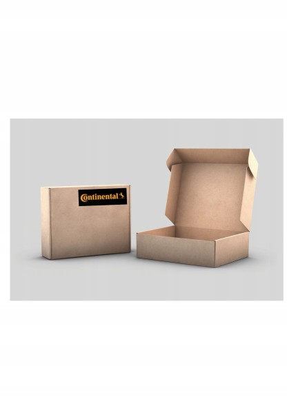 Continental CT1015WP1 Continental ctam ct1015wp1 водяний насос + комплект ременя грм