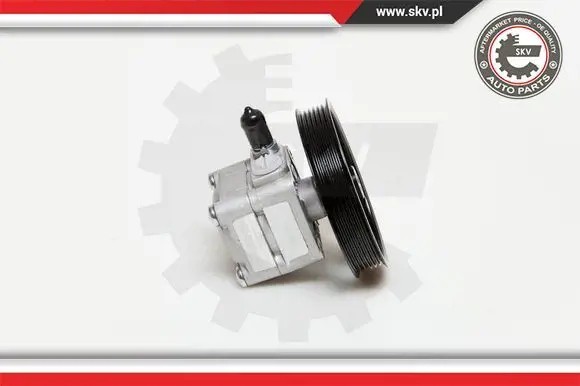 ESEN SKV 10SKV177 Насос гідропідсилювача 10скв177 esen skv volvo c70 s60