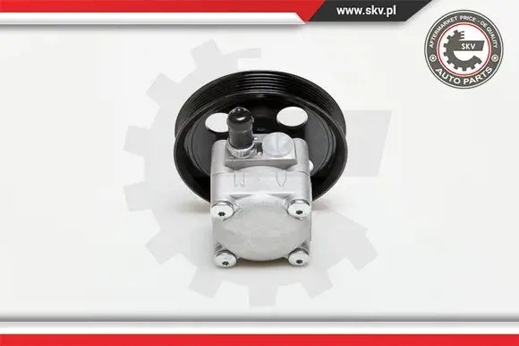 ESEN SKV 10SKV177 Насос гідропідсилювача 10скв177 esen skv volvo c70 s60