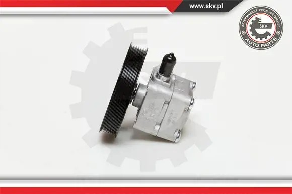 ESEN SKV 10SKV177 Насос гідропідсилювача 10скв177 esen skv volvo c70 s60