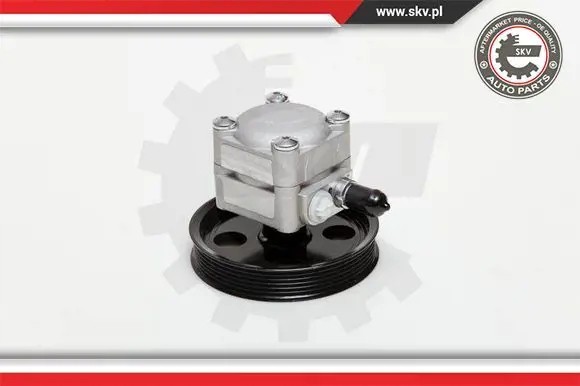 ESEN SKV 10SKV177 Насос гідропідсилювача 10скв177 esen skv volvo c70 s60