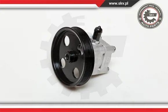 ESEN SKV 10SKV177 Насос гідропідсилювача 10скв177 esen skv volvo c70 s60