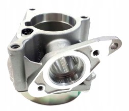Borsehung B18666 Вакуумний насос org audi skoda vw 06h145100ad b18666
