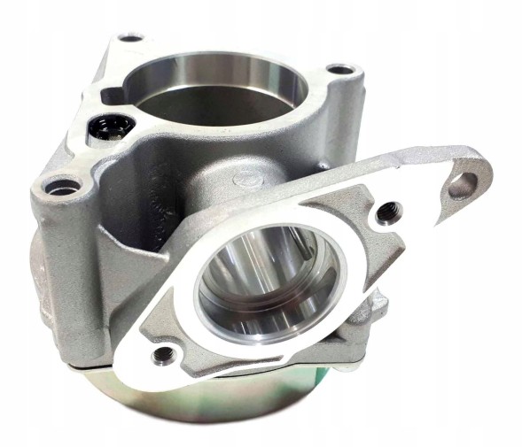 Borsehung B18666 Вакуумний насос org audi skoda vw 06h145100ad b18666