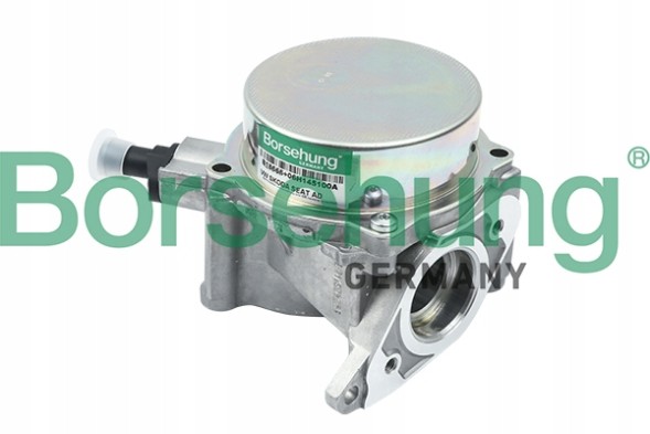 Borsehung B18666 Вакуумний насос org audi skoda vw 06h145100ad b18666