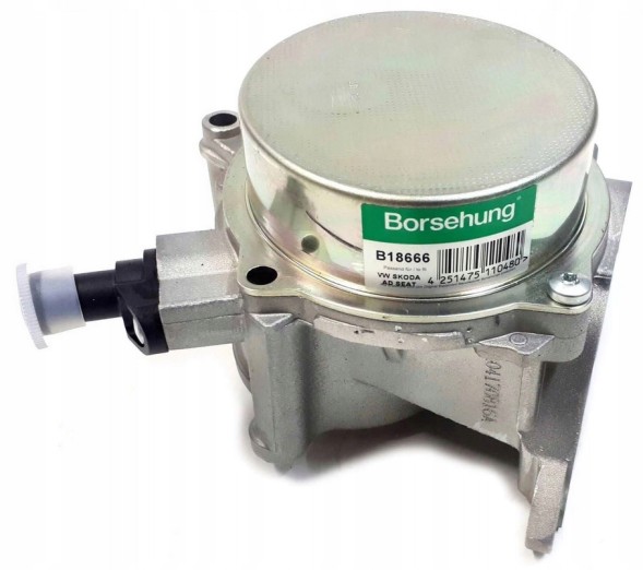 Borsehung B18666 Вакуумний насос org audi skoda vw 06h145100ad b18666