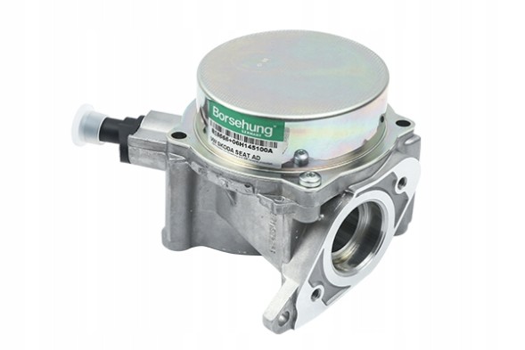 Borsehung B18666 Вакуумний насос org audi skoda vw 06h145100ad b18666