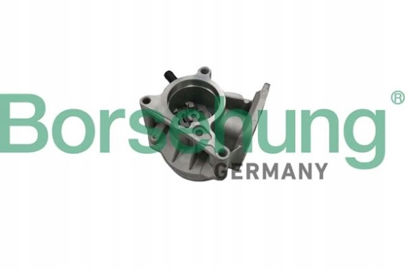 Borsehung B18666 Вакуумний насос org audi skoda vw 06h145100ad b18666