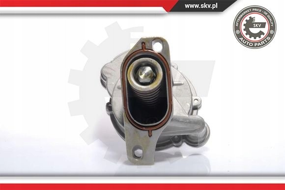 ESEN SKV 18SKV005 Вакуумні насоси skv 18skv005