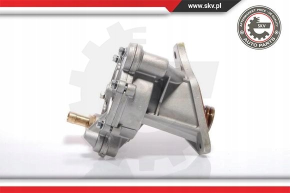 ESEN SKV 18SKV005 Вакуумні насоси skv 18skv005