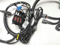 Ford OE Б/у джгут, провода двигуна Ford Focus MK1 OE 98AG-12A5220-ADG 1134609