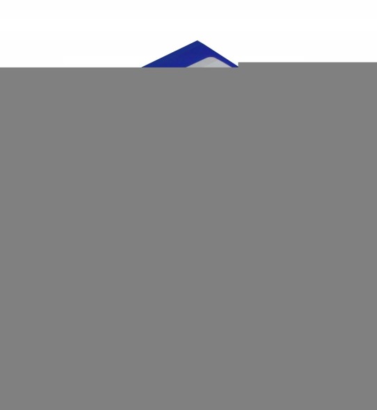 Delphi FE0531-12B1 Електрична паливна помпа (в зборі) opel astra f, astra f classic, astra