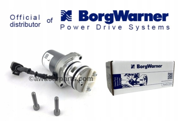 BorgWarner DS114269 Насос, багатодискова муфта (повний привід)